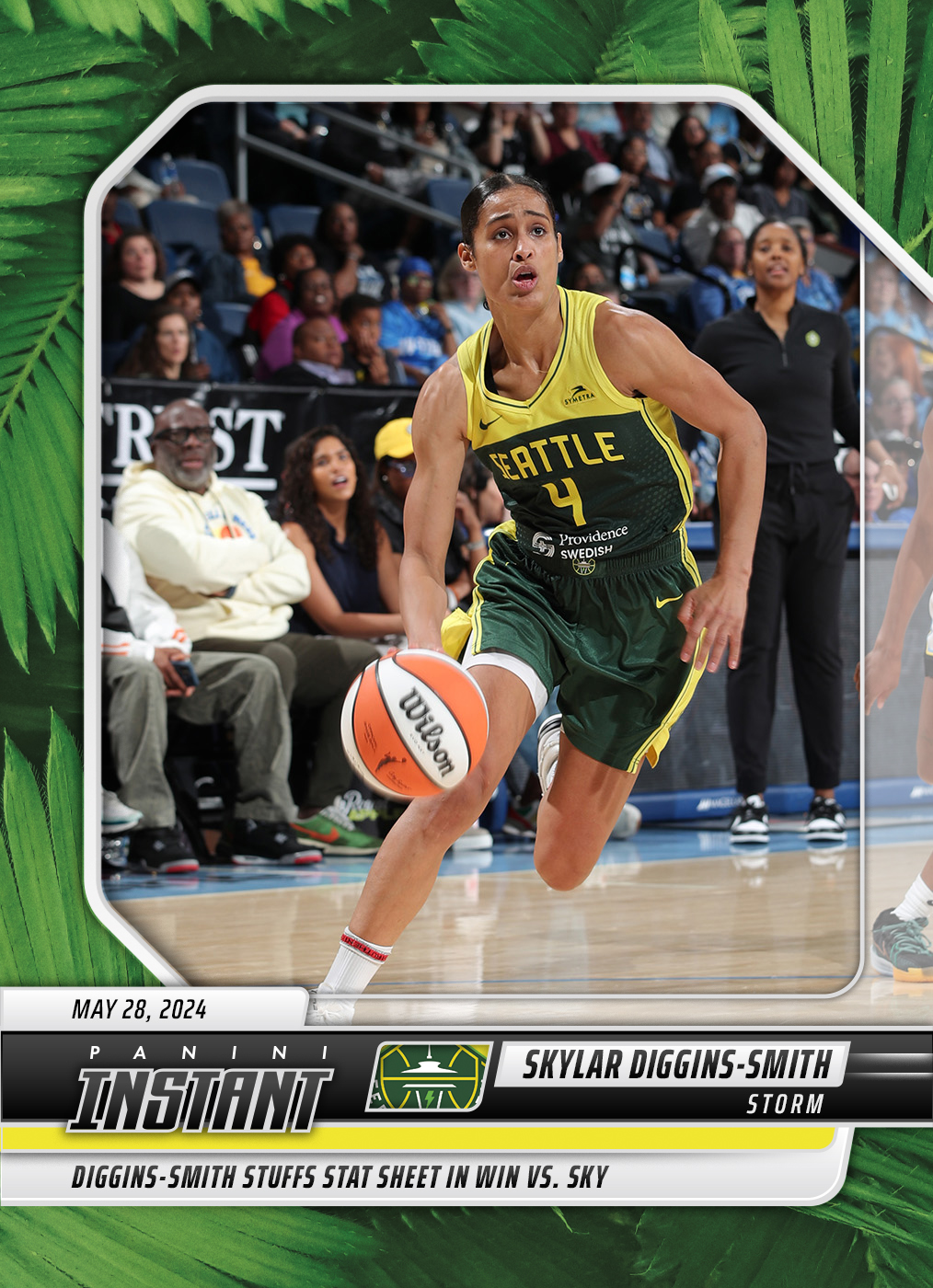 Detailed Image of Skylar Diggins-Smith