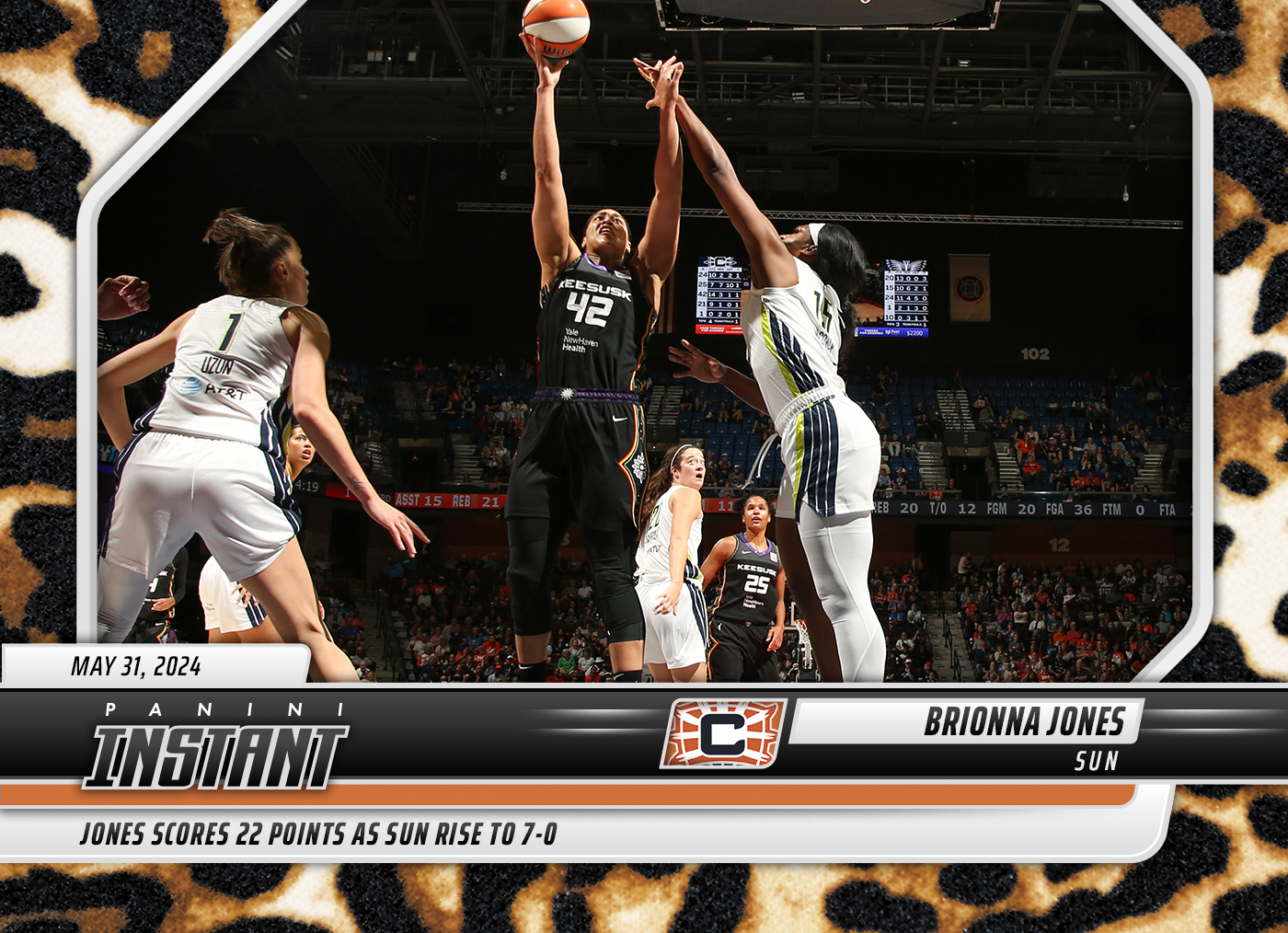Detailed Image of Brionna Jones - 2024