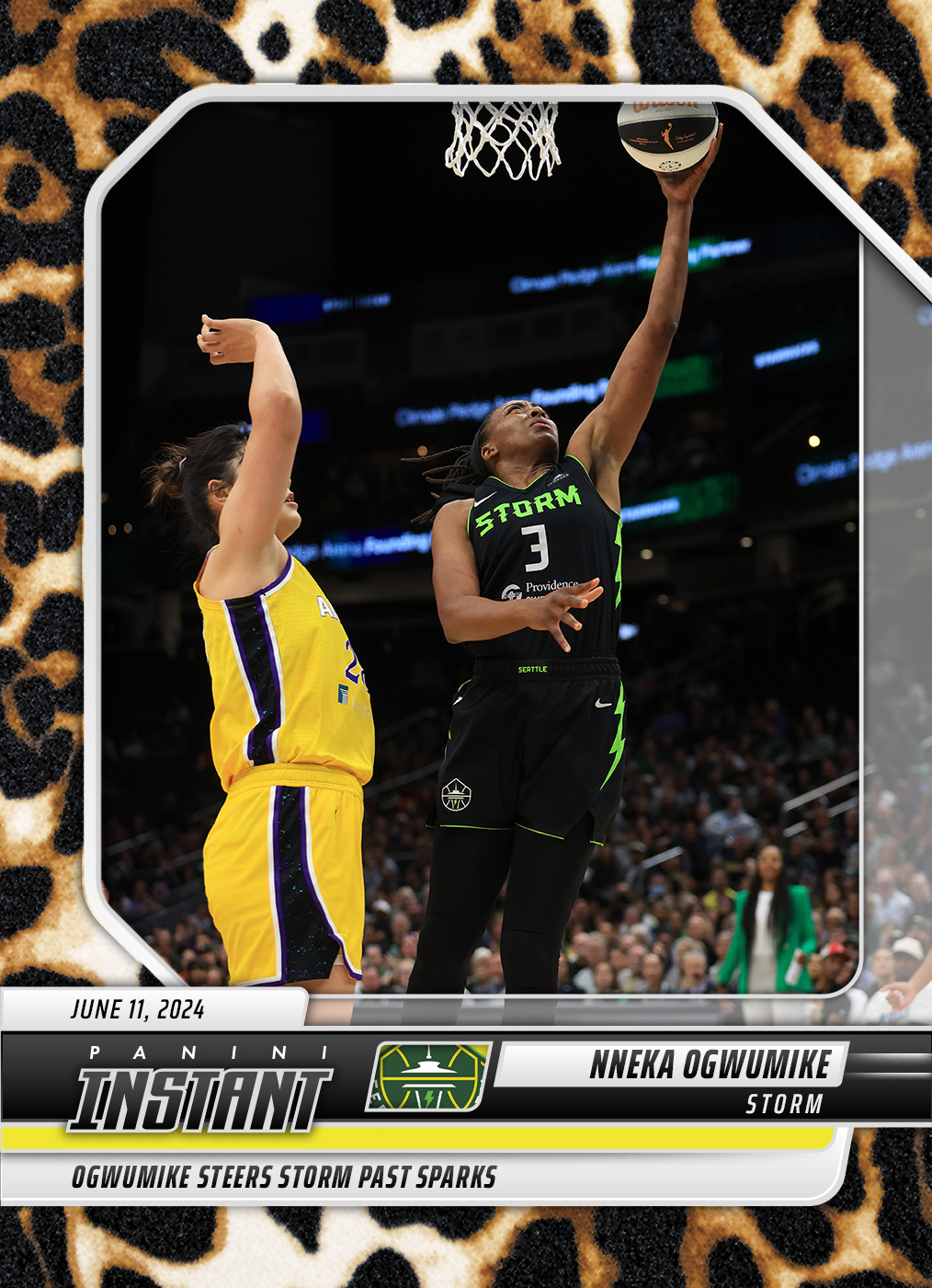 Detailed Image of Nneka Ogwumike - 202