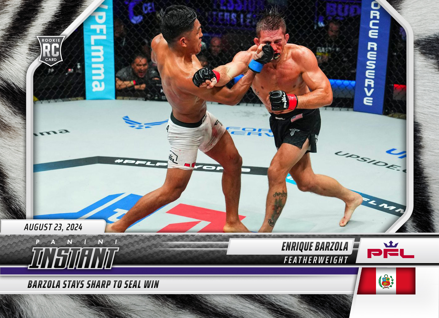 Detailed Image of Enrique Barzola - 20