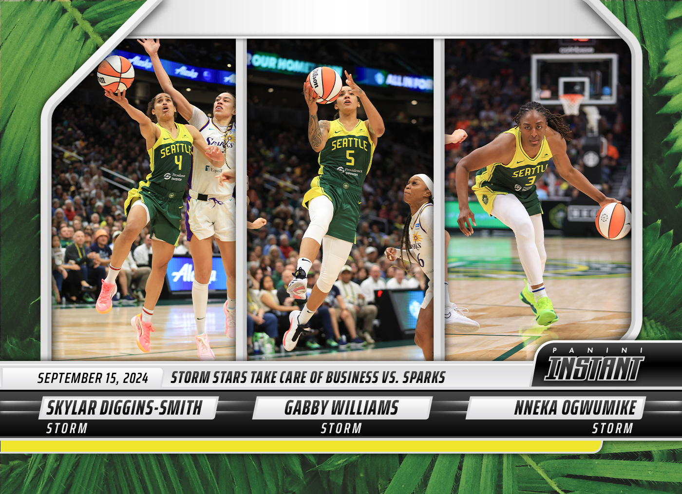 Detailed Image of Skylar Diggins-Smith