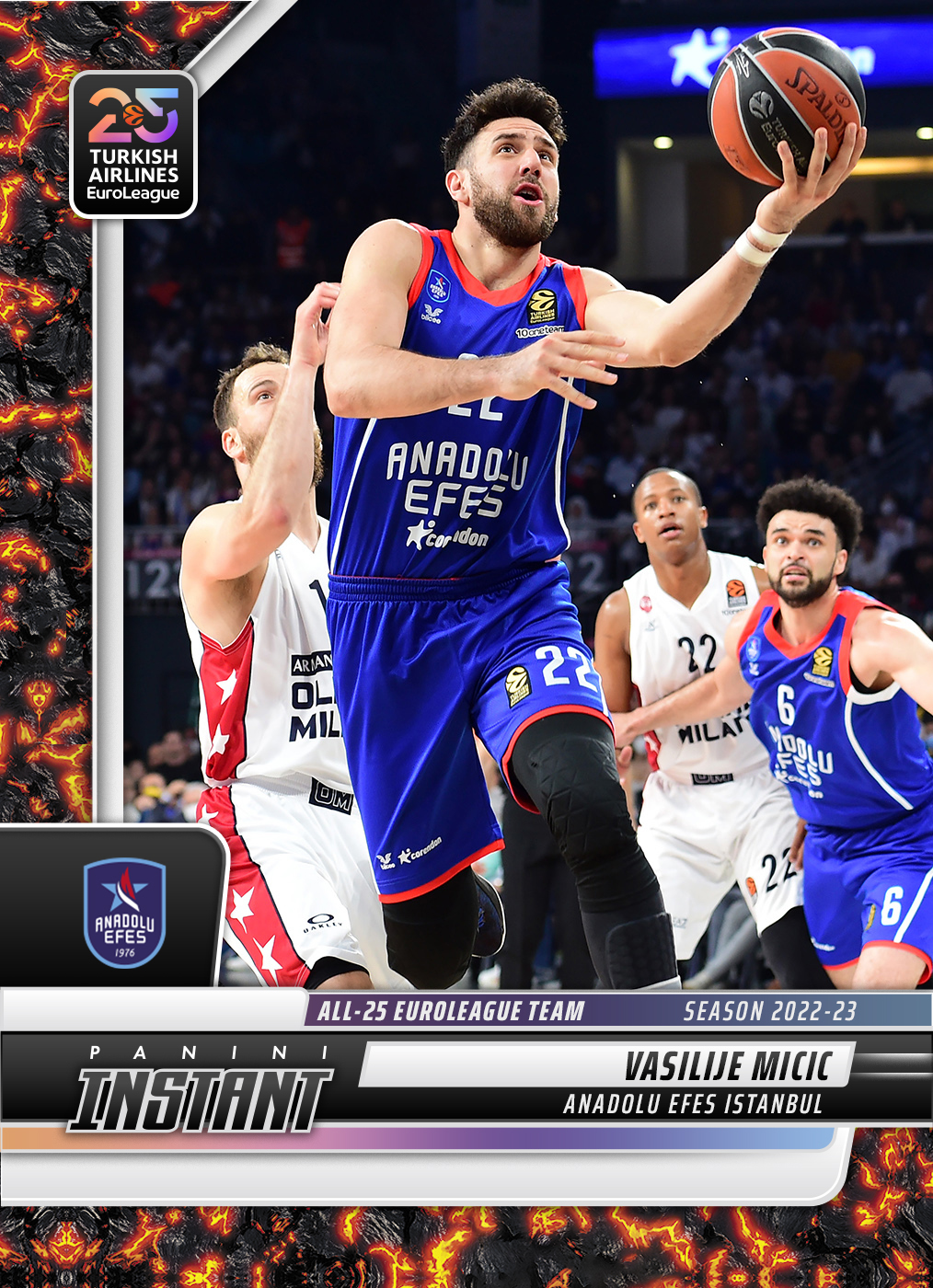 Detailed Image of Vasilije Micic - 202