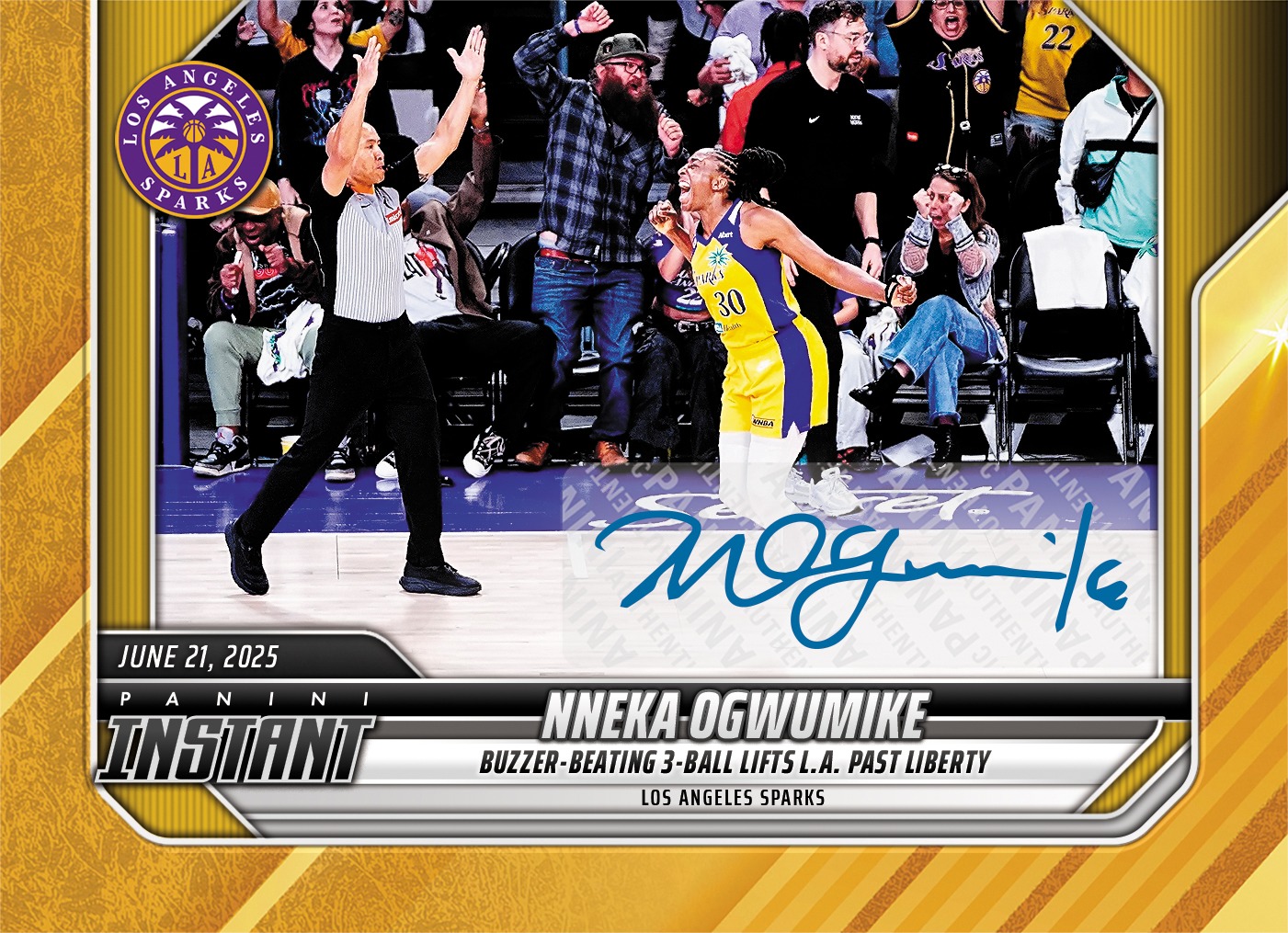 Detailed Image of Nneka Ogwumike - 202