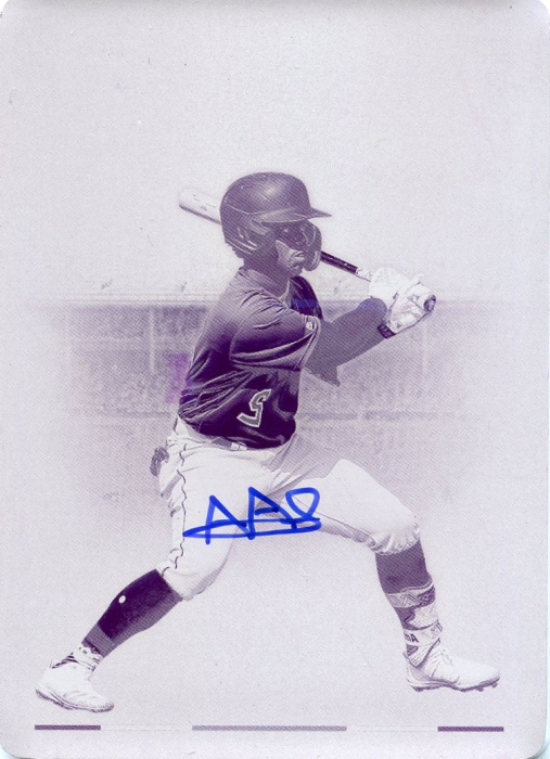 Product image for - Adael Amador - 2023 America's Pastime Boys of Summer Autographs Printing Plates