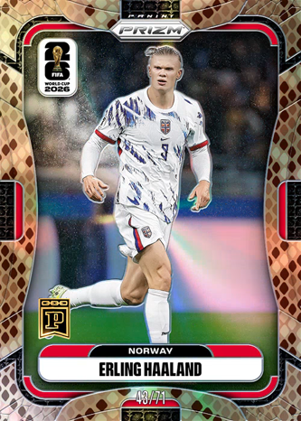 Erling Haaland