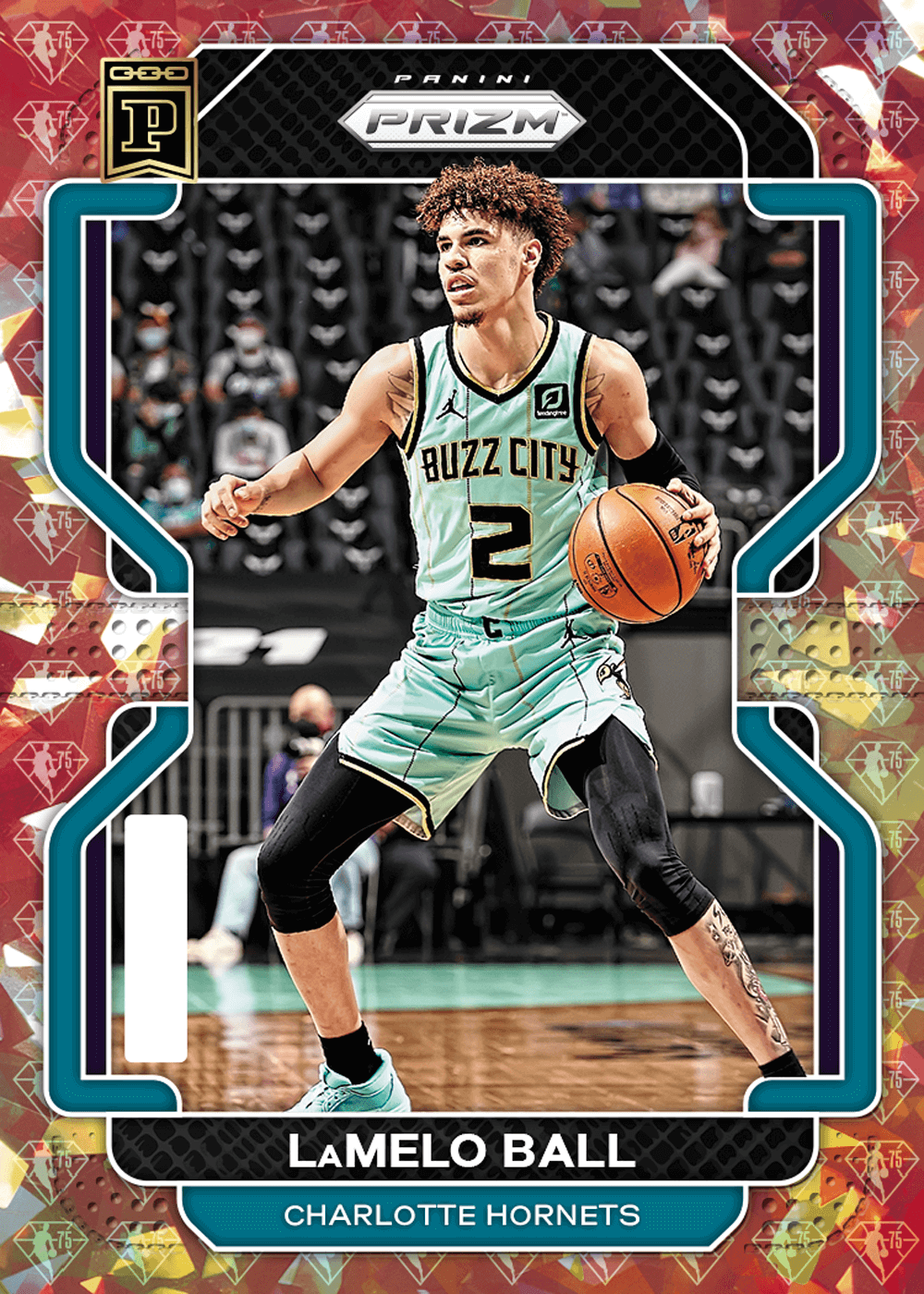Panini America Online Store | Shop Exclusive Trading Cards