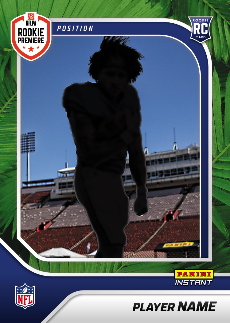 Detailed Image of Audric Estime - Pani
