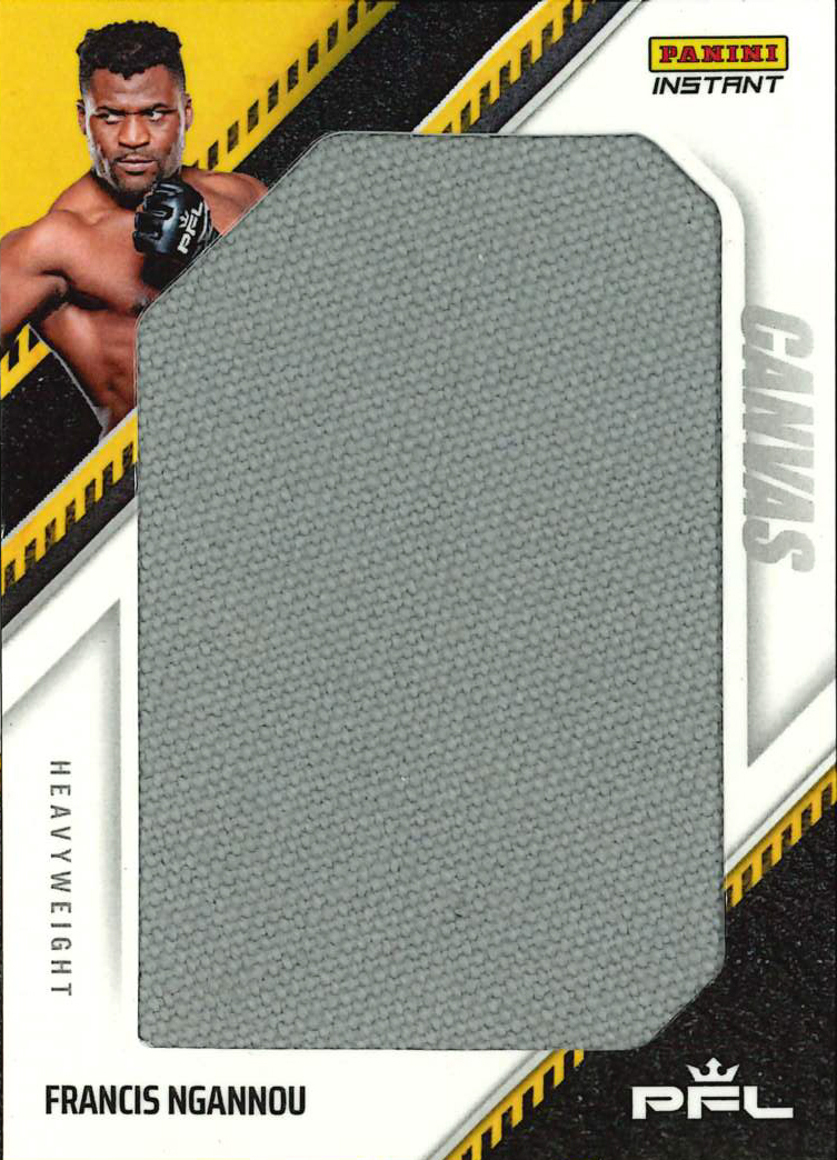 Detailed Image of Francis Ngannou - 20