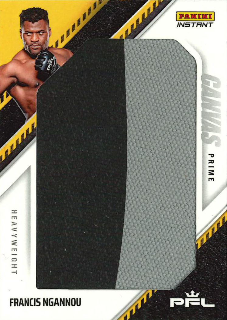 Detailed Image of Francis Ngannou - 20