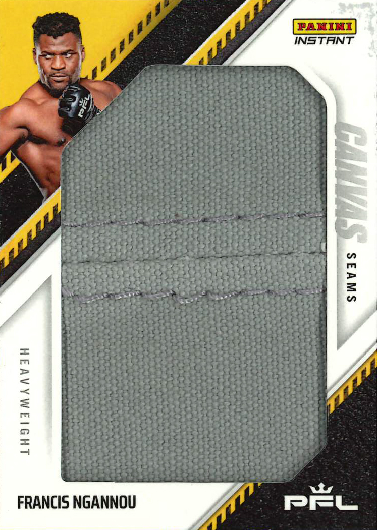 Detailed Image of Francis Ngannou - 20