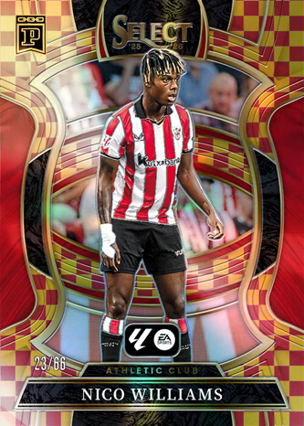 Nico Williams