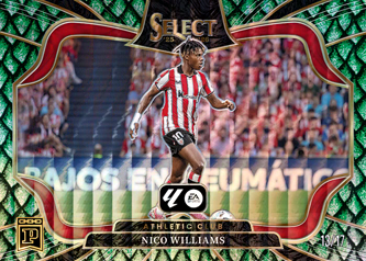 Nico Williams