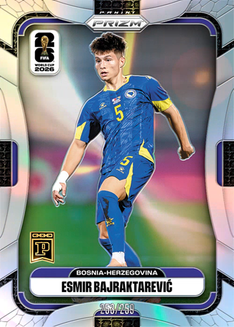 Esmir Bajraktarevic