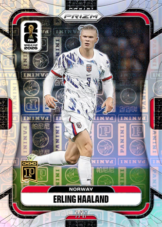 Erling Haaland