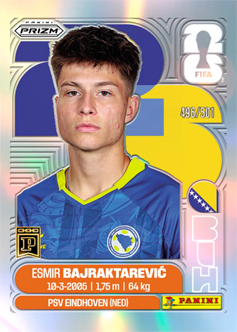 Esmir Bajraktarevic