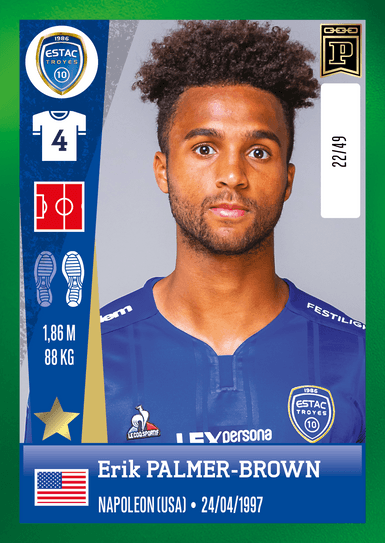 Erik Palmer-Brown