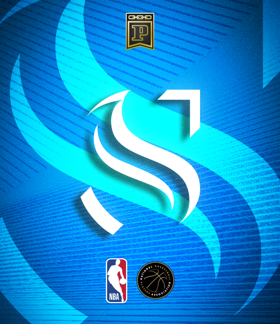 image of 2024-25 Panini NFT Silhouette Basketball